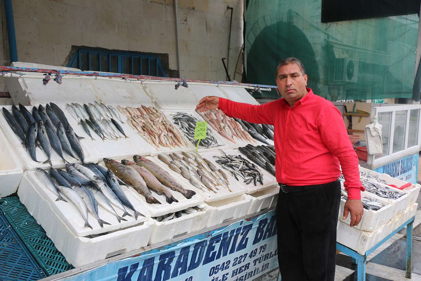 Alıcı ve satıcılar balık fiyatlarından memnun